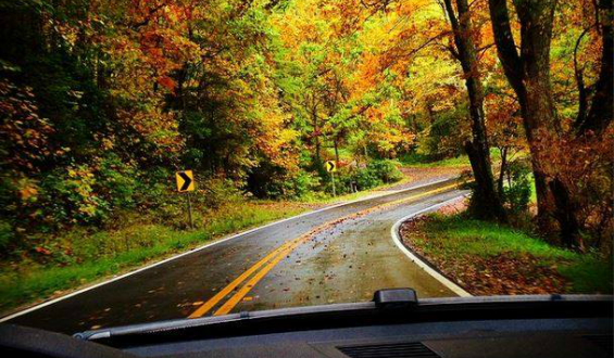 Road during Fall in Georgia