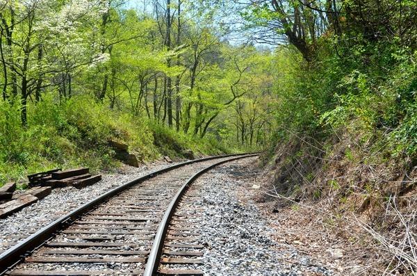 Blue Ridge Scenic Railway Tracks