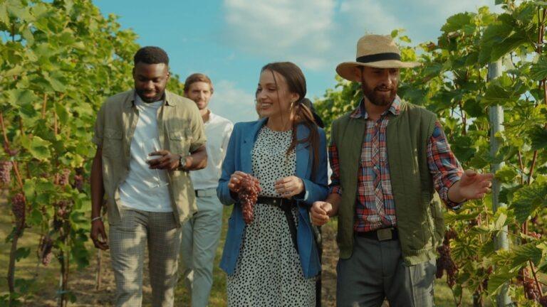 People Walking in Vineyard